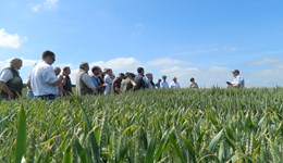 Challenging weather sees switch to spring cropping